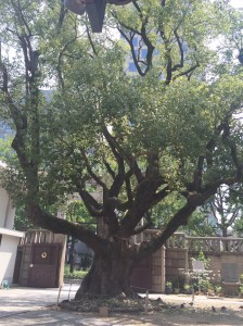 難波神社のご神体